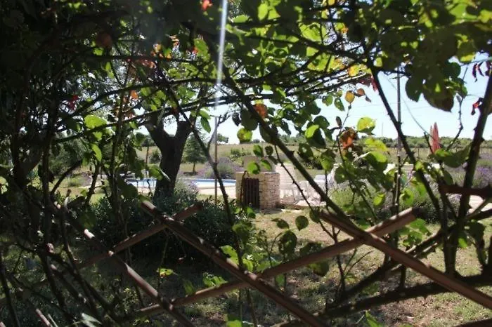 Villa וודניאן בית נופש